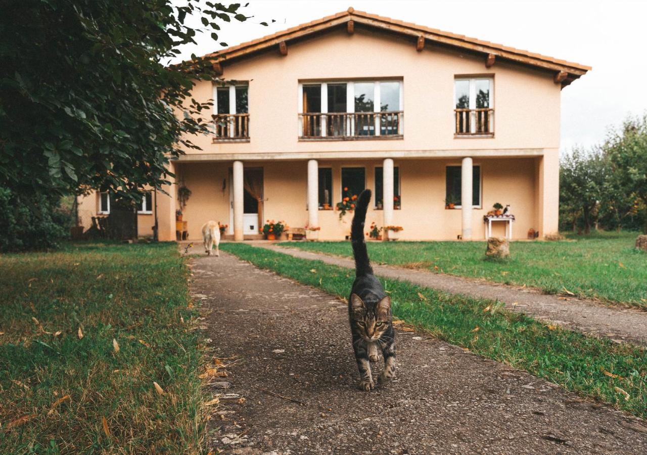 Casa De Campo La Solana Эстольо Экстерьер фото