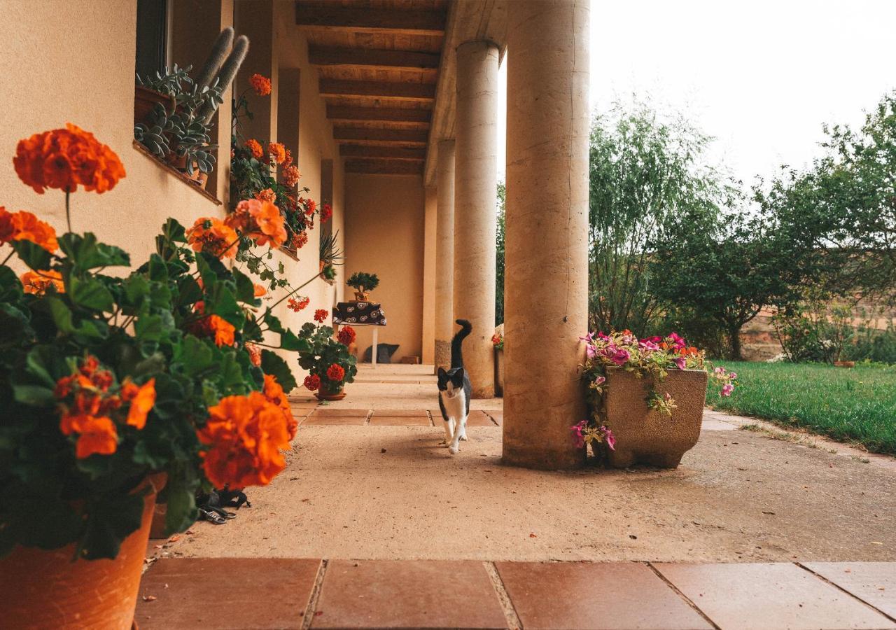 Casa De Campo La Solana Эстольо Экстерьер фото